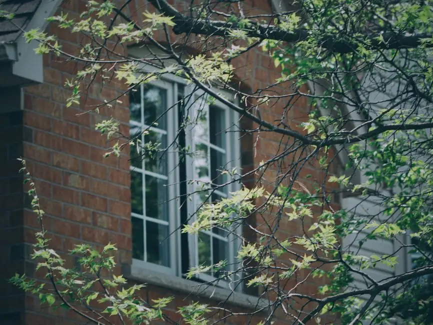 A brick house with windows surrounded by lush green branches in spring.